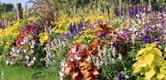 Création de Toul, 4 Fleurs, signée Francis Grandjean et ses équipes