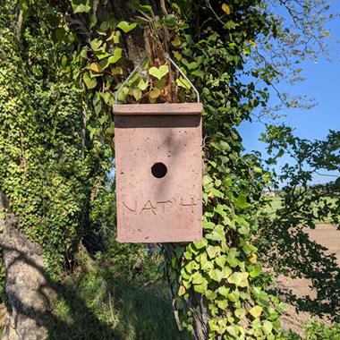 Nichoir en béton de bois