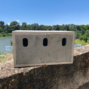 Nichoir en béton de bois à fixer en façade